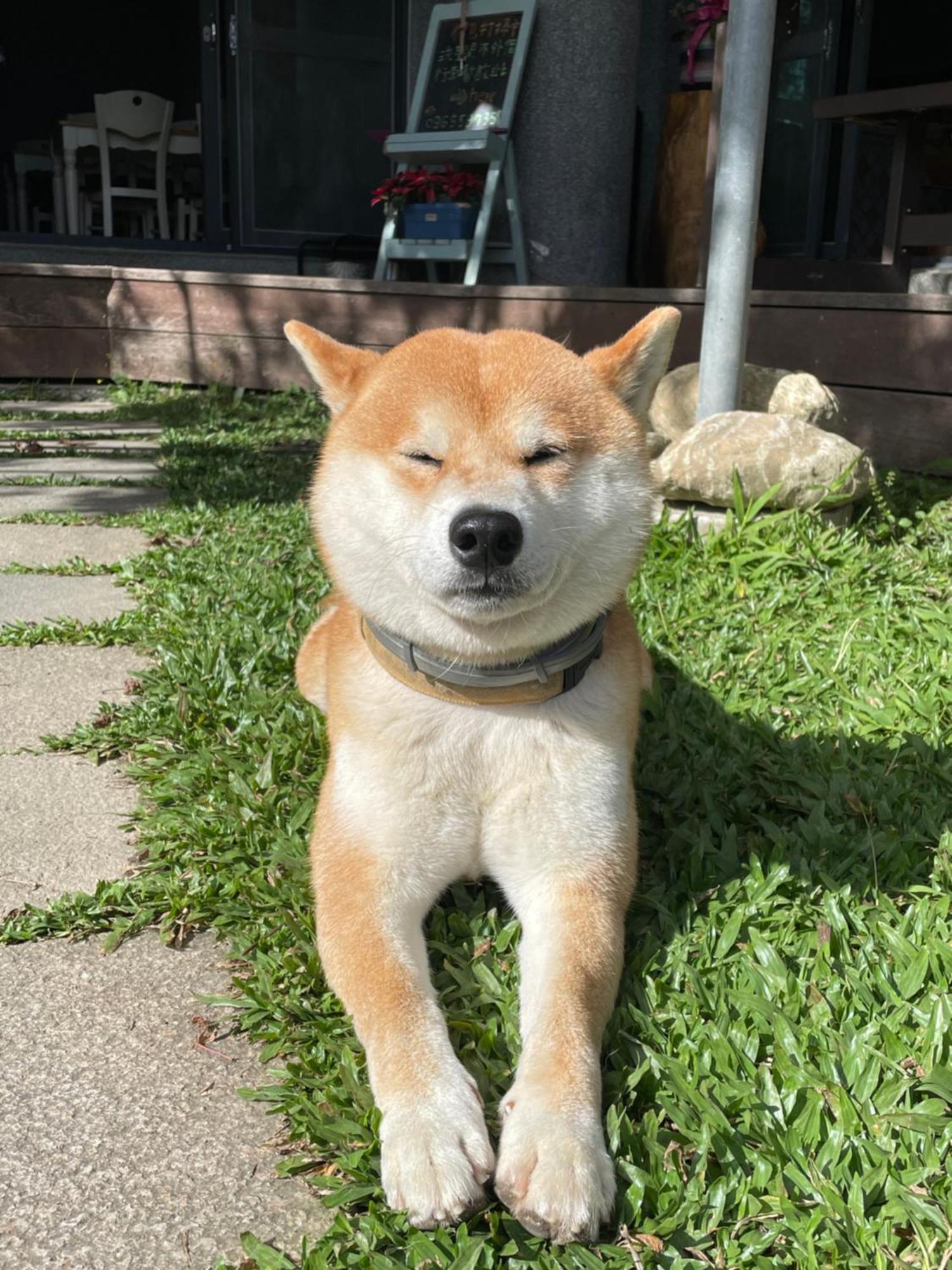 Chuxu Homestay Fanlu 외부 사진